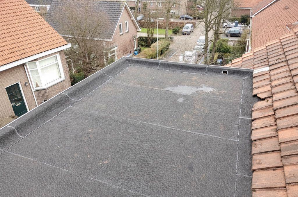 Dakdekker In Najaar Den Haag