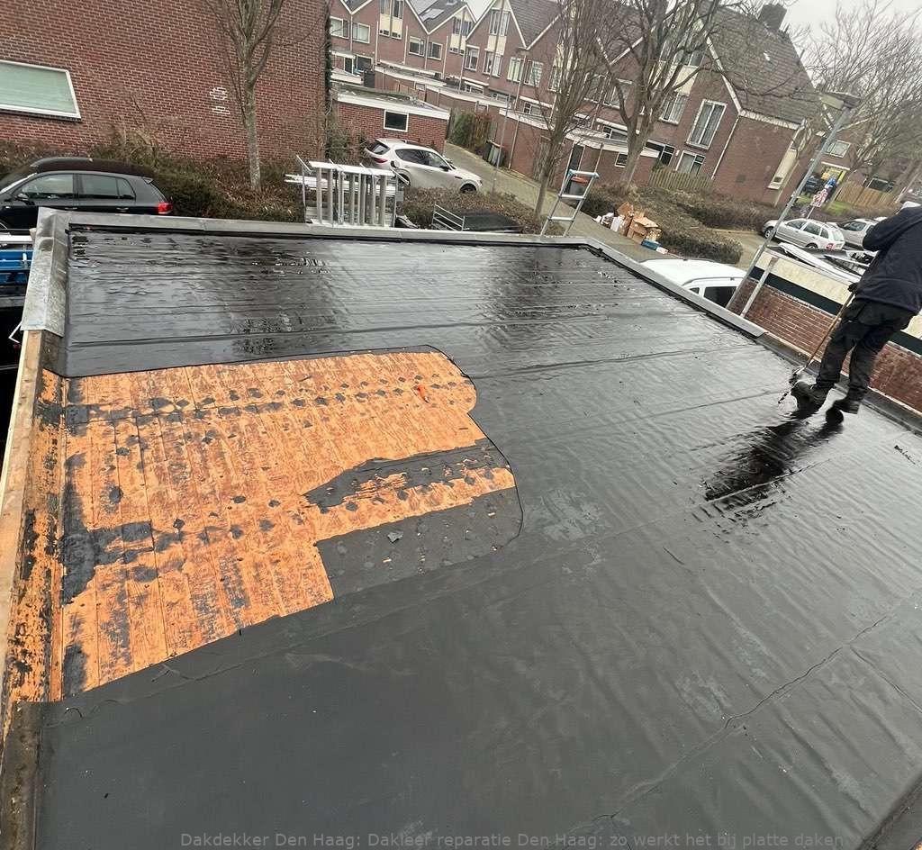Dakleer Reparatie Den Haag