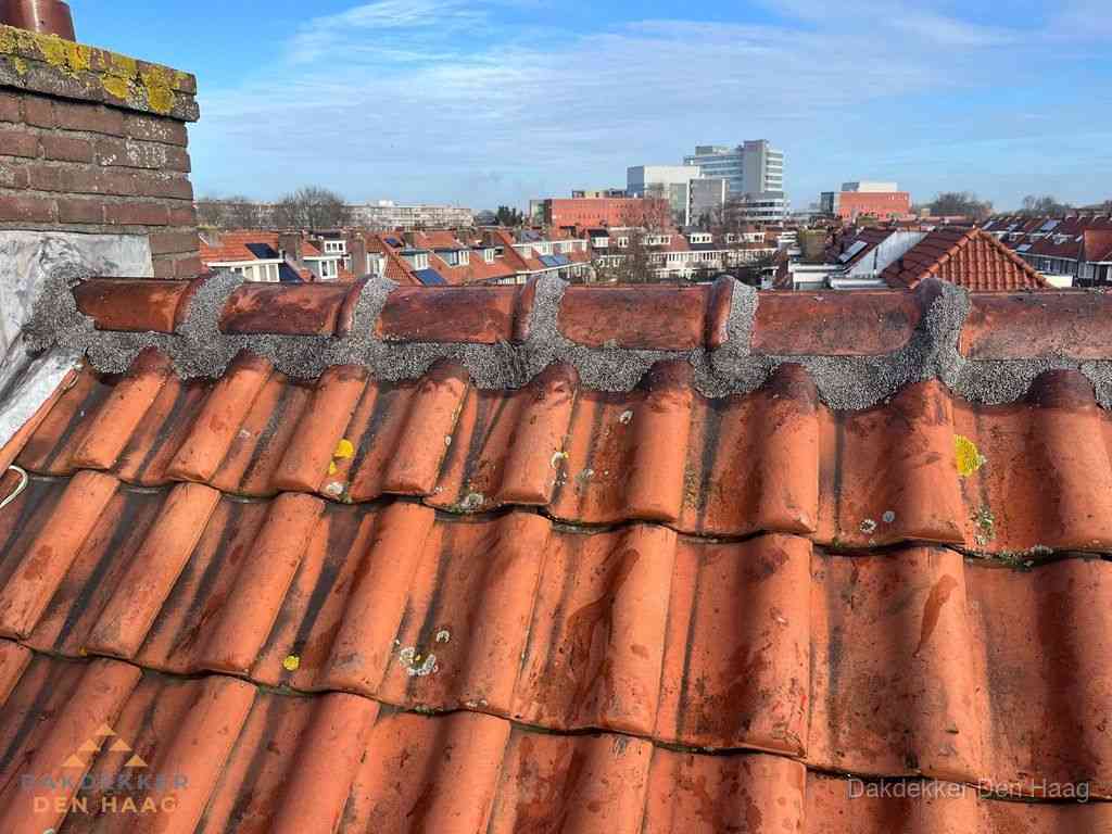 Denhaag Daken Renoveren