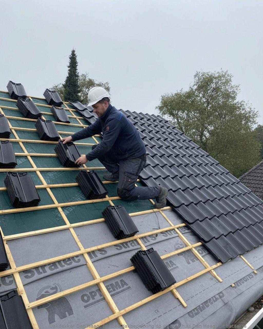Invloed Dakbedekking Op Waarde Huis Den Haag