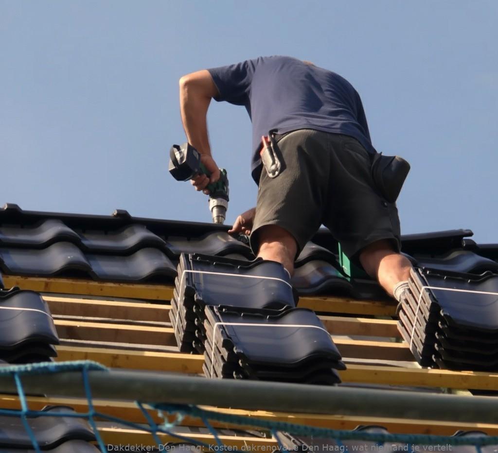 Kosten Dakrenovatie Den Haag