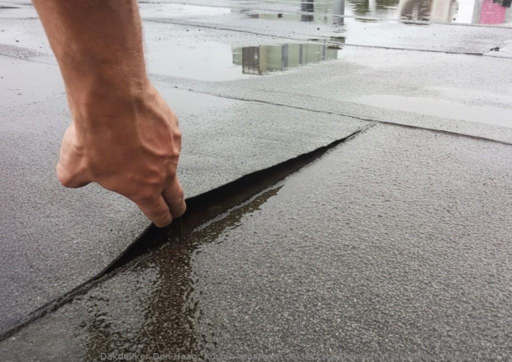 Kosten Repareren Daklekkage Den Haag