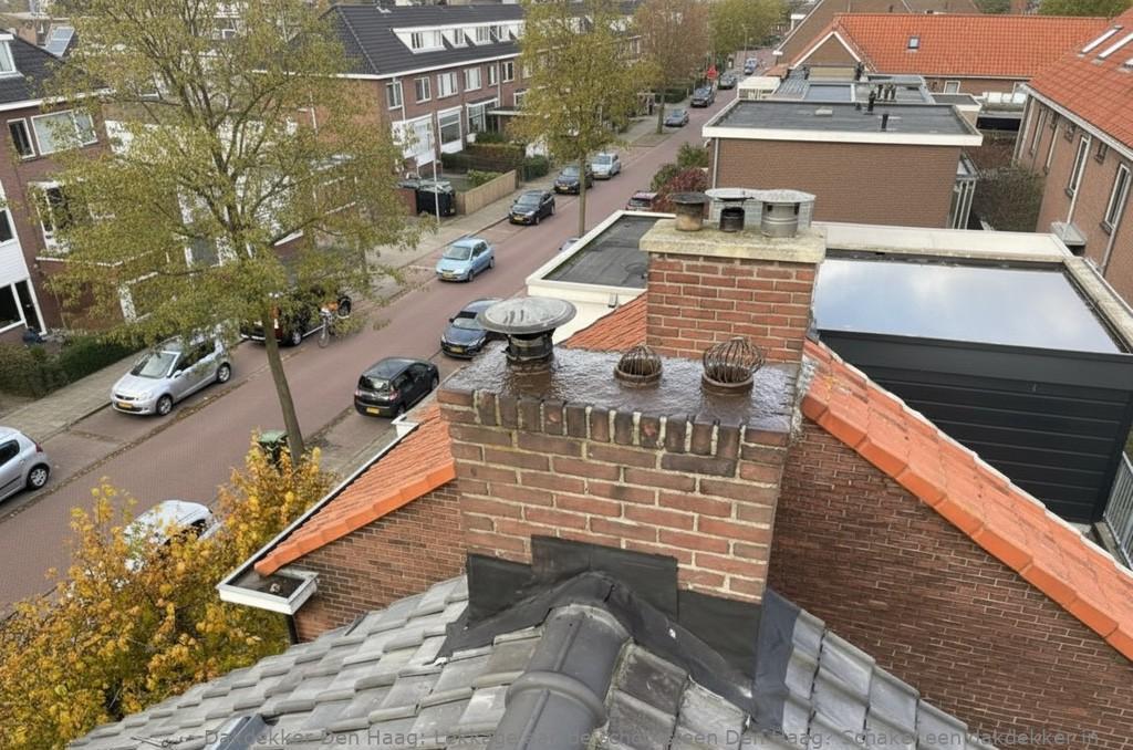 Lekkage Aan De Schoorsteen Den Haag