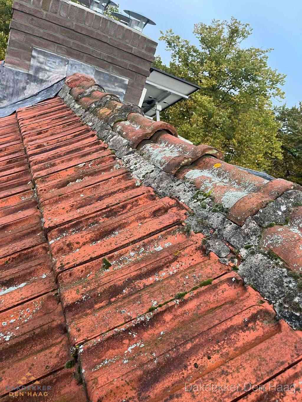 Renovatie Hellend Dak Denhaag