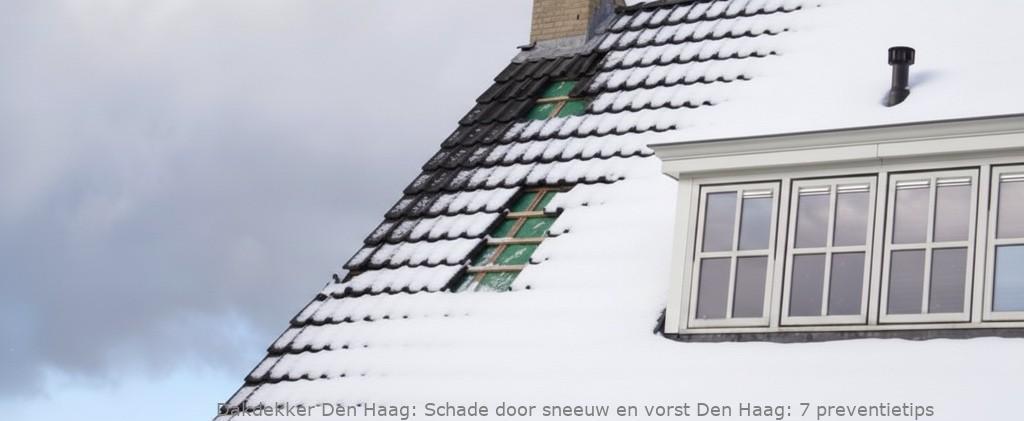 Schade Door Sneeuw En Vorst Den Haag