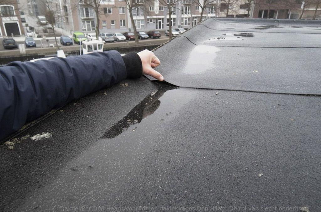 Voorkomen Daklekkages Den Haag